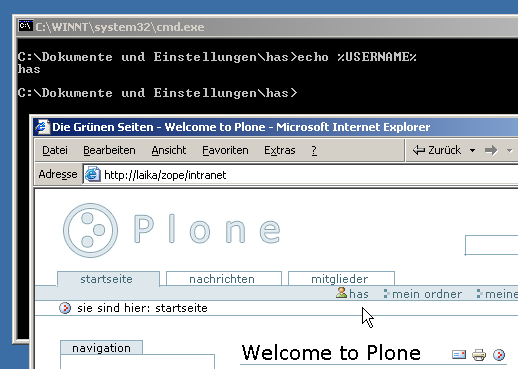 Single-Sign-On for Zope &amp; Plone in Windows Domains: SSO